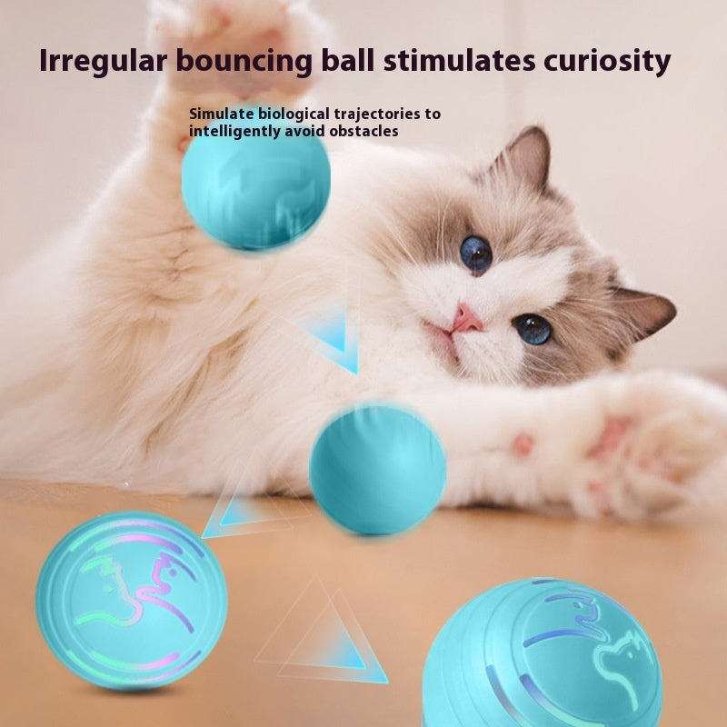 Intelligent Electric Vibration Ball Dogs And Cats Toy Can't Bite The Ball